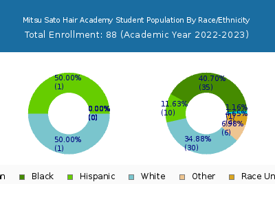 Mitsu Sato Hair Academy 2023 Student Population by Gender and Race chart
