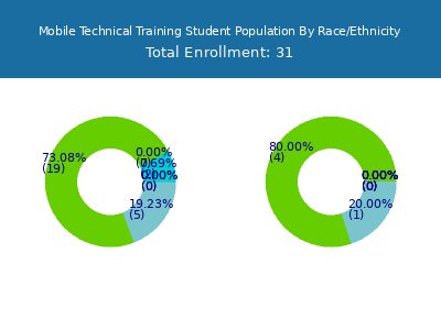 Mobile Technical Training 2025 Student Population by Gender and Race chart