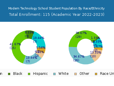 Modern Technology School 2023 Student Population by Gender and Race chart