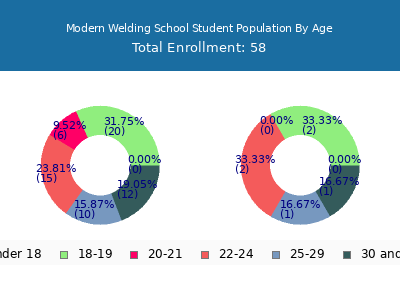 Modern Welding School 2024 Student Population Age Diversity Pie chart