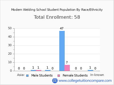 Modern Welding School 2025 Student Population by Gender and Race chart