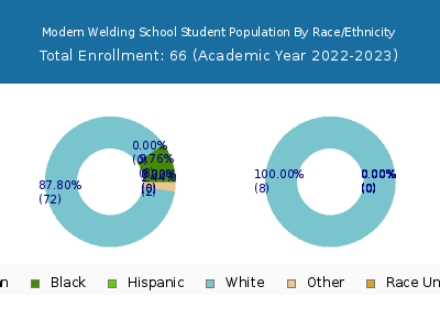 Modern Welding School 2023 Student Population by Gender and Race chart