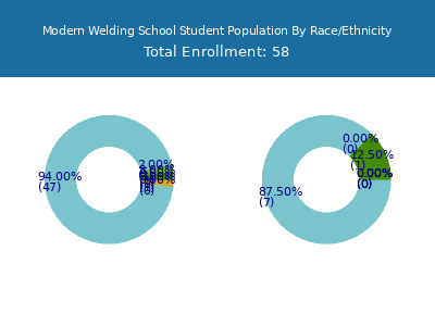 Modern Welding School 2025 Student Population by Gender and Race chart