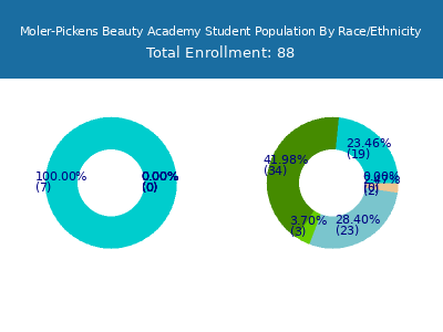 Moler-Pickens Beauty Academy 2025 Student Population by Gender and Race chart
