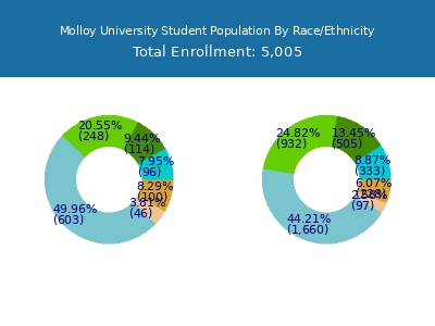 Molloy University 2025 Student Population by Gender and Race chart