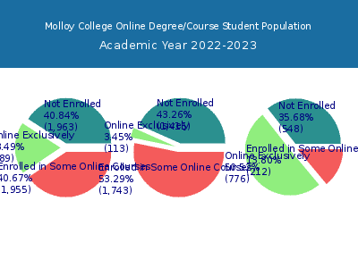 Molloy College 2023 Online Student Population chart