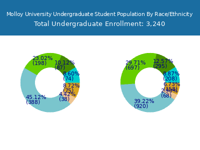 Molloy University 2025 Undergraduate Enrollment by Gender and Race chart