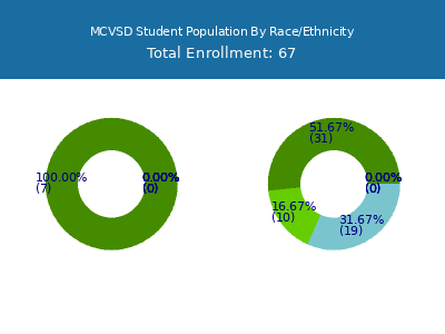 MCVSD 2025 Student Population by Gender and Race chart
