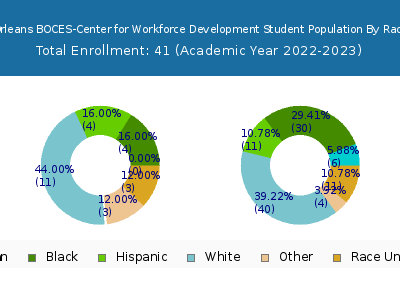 Monroe 2 Orleans BOCES-Center for Workforce Development 2023 Student Population by Gender and Race chart