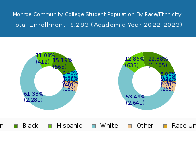 Monroe Community College 2023 Student Population by Gender and Race chart