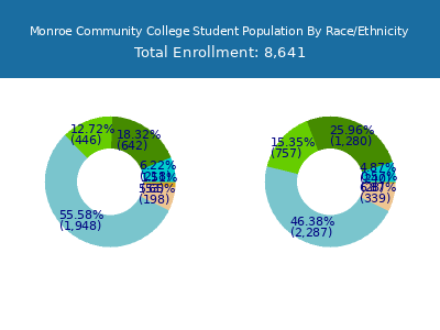 Monroe Community College 2025 Student Population by Gender and Race chart