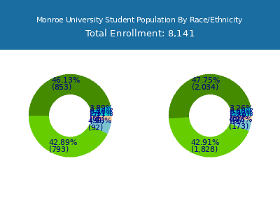 Monroe University 2025 Student Population by Gender and Race chart