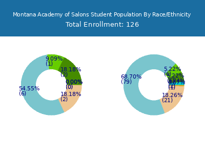 Montana Academy of Salons 2025 Student Population by Gender and Race chart