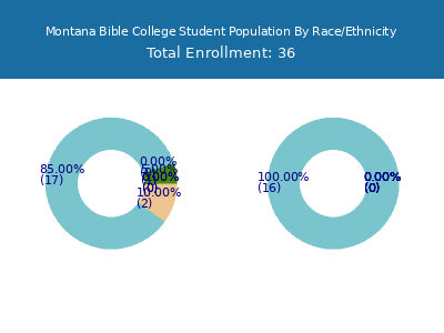 Montana Bible College 2025 Student Population by Gender and Race chart
