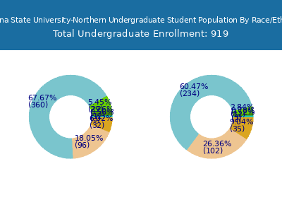 Montana State University-Northern 2025 Undergraduate Enrollment by Gender and Race chart