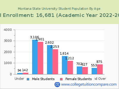 Montana State University 2023 Student Population by Age chart