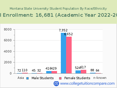 Montana State University 2023 Student Population by Gender and Race chart