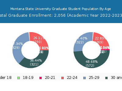 Montana State University 2023 Graduate Enrollment Age Diversity Pie chart