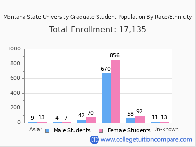 Montana State University 2025 Graduate Enrollment by Gender and Race chart