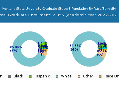 Montana State University 2023 Graduate Enrollment by Gender and Race chart