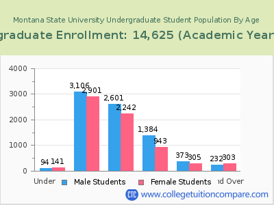 Montana State University 2023 Undergraduate Enrollment by Age chart