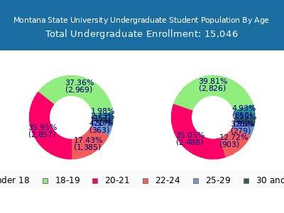 Montana State University 2025 Undergraduate Enrollment Age Diversity Pie chart