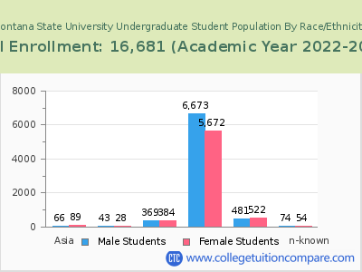 Montana State University 2023 Undergraduate Enrollment by Gender and Race chart