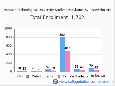 Montana Technological University 2025 Student Population by Gender and Race chart
