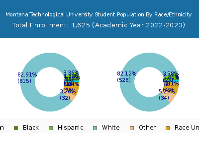 Montana Technological University 2023 Student Population by Gender and Race chart