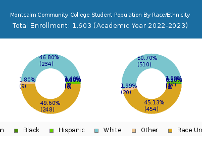 Montcalm Community College 2023 Student Population by Gender and Race chart