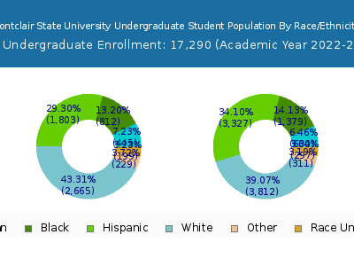 Montclair State University 2023 Undergraduate Enrollment by Gender and Race chart