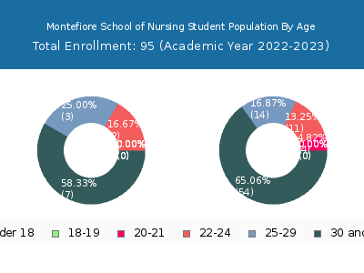 Montefiore School of Nursing 2023 Student Population Age Diversity Pie chart