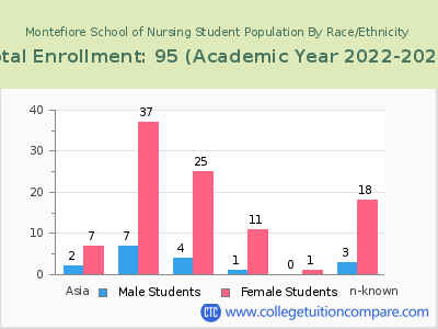 Montefiore School of Nursing 2023 Student Population by Gender and Race chart