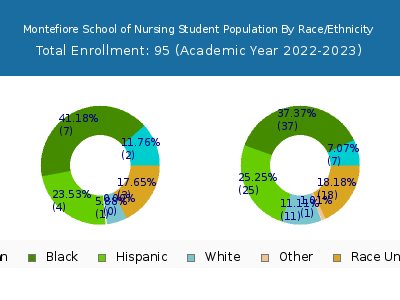 Montefiore School of Nursing 2023 Student Population by Gender and Race chart