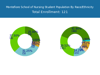 Montefiore School of Nursing 2025 Student Population by Gender and Race chart