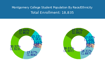 Montgomery College 2025 Student Population by Gender and Race chart