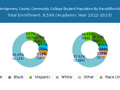 Montgomery County Community College 2023 Student Population by Gender and Race chart