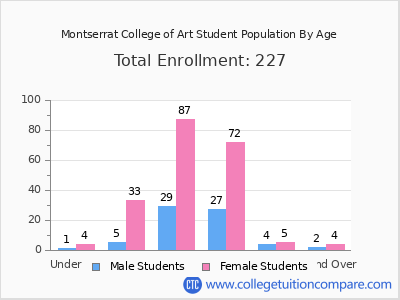 Montserrat College of Art 2024 Student Population by Age chart