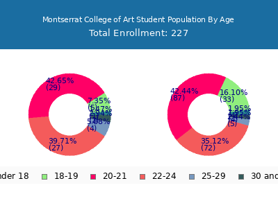 Montserrat College of Art 2024 Student Population Age Diversity Pie chart