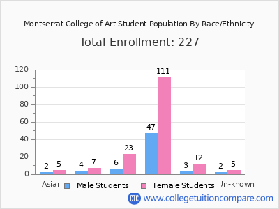 Montserrat College of Art 2025 Student Population by Gender and Race chart