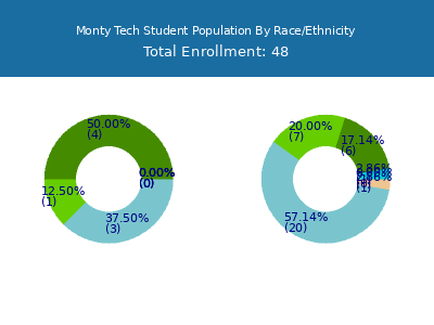 Monty Tech 2025 Student Population by Gender and Race chart