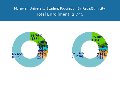 Moravian University 2025 Student Population by Gender and Race chart