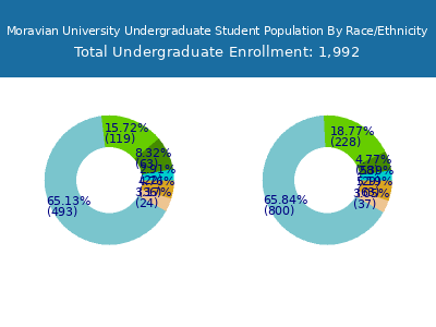 Moravian University 2025 Undergraduate Enrollment by Gender and Race chart