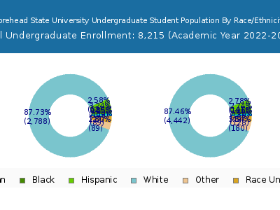 Morehead State University 2023 Undergraduate Enrollment by Gender and Race chart