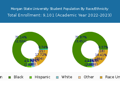 Morgan State University 2023 Student Population by Gender and Race chart