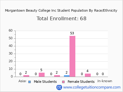 Morgantown Beauty College Inc 2025 Student Population by Gender and Race chart