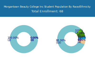 Morgantown Beauty College Inc 2025 Student Population by Gender and Race chart