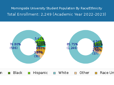 Morningside University 2023 Student Population by Gender and Race chart