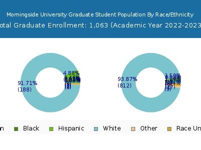 Morningside University 2023 Graduate Enrollment by Gender and Race chart