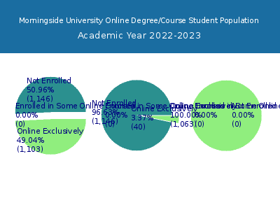 Morningside University 2023 Online Student Population chart